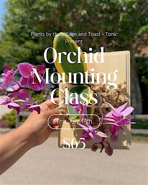 Orchid Mounting Workshop | Event in Stonington | AllEvents