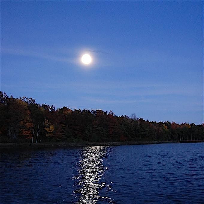 Full Moon Hikes, 12 May | Event in Brighton | AllEvents