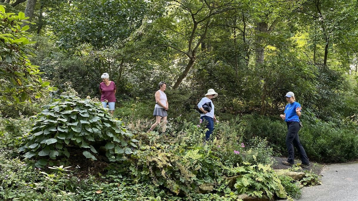 Summer Wednesday Walkabouts | Event in Devon | AllEvents