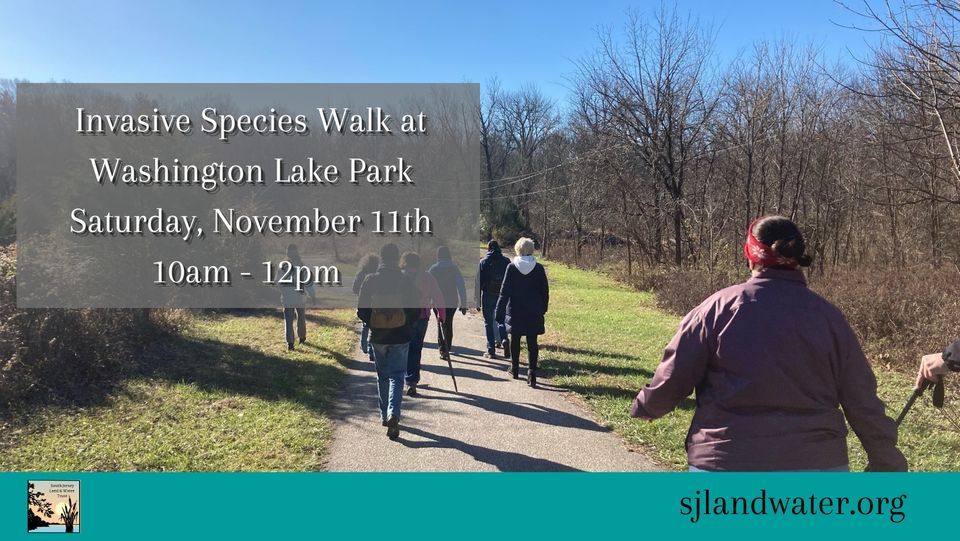 Invasive Species Walk at Washington Lake Park, Washington Lake Park