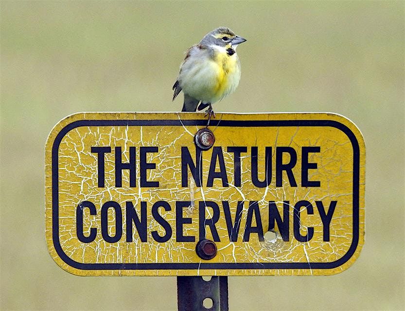 June Bird Walk - Kankakee Sands Grassland Specialties, 21 June | Event in Morocco | AllEvents
