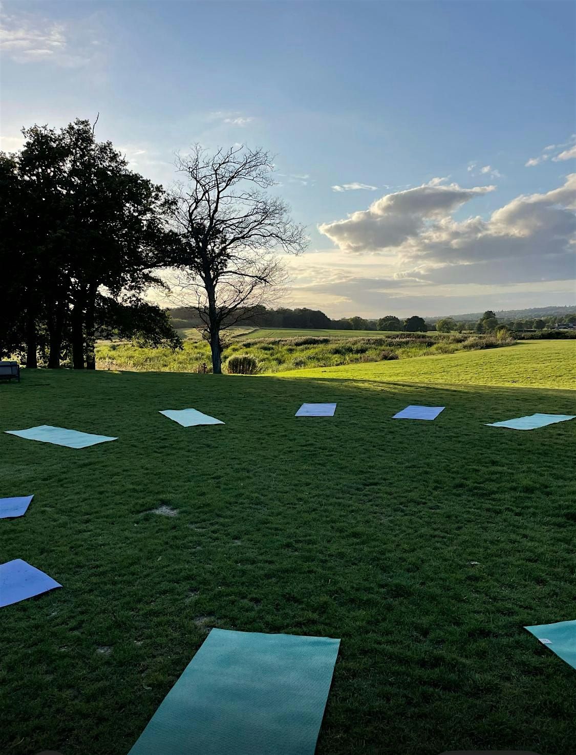 Flow Yoga with a View at SAUNA YOKU, 3 July | Event in Haywards Heath | AllEvents