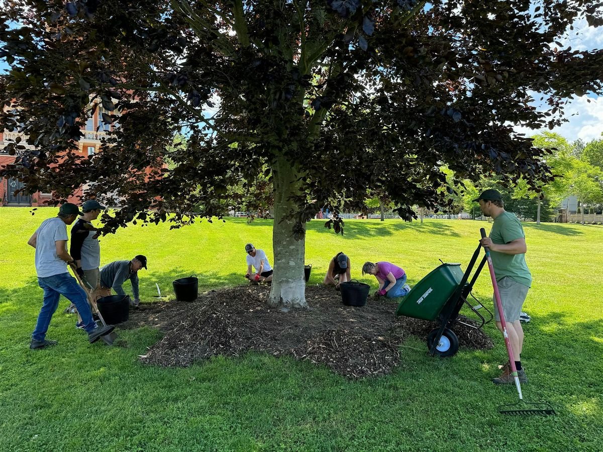 Tree Corps: Storer Park, 26 July | Event in Newport | AllEvents
