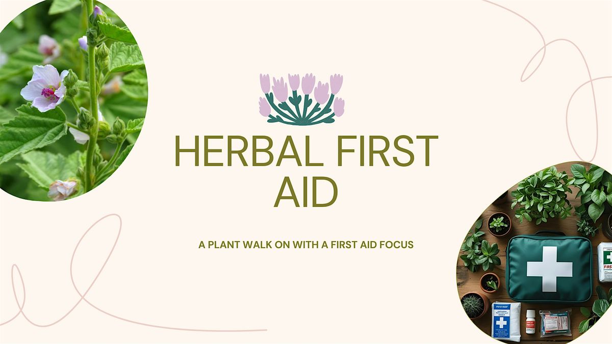 Herbal First Aid: A plant walk with first aid focus, 2 August | Event in Westminster | AllEvents