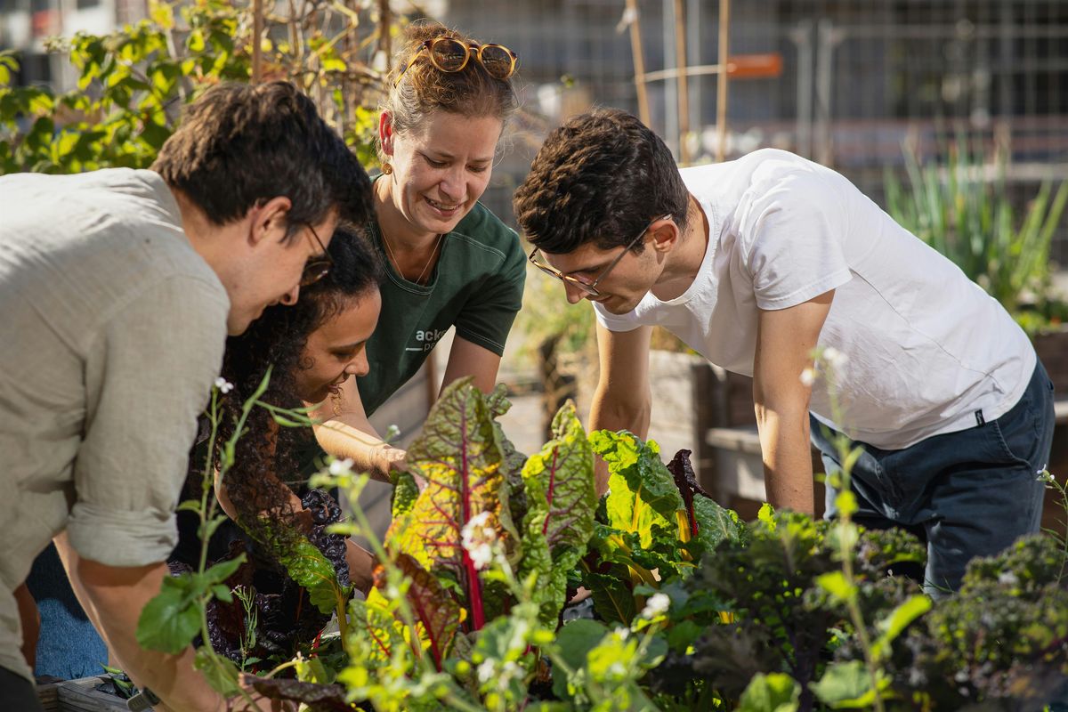 Urban Gardening Hacks - Gemüse in der Stadt anbauen, 18 March | Event in Berlin | AllEvents
