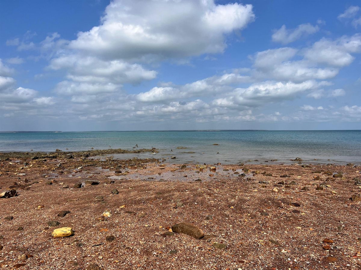 Field Trip | Mapping Microplastics, 14 October | Event in Darwin City | AllEvents