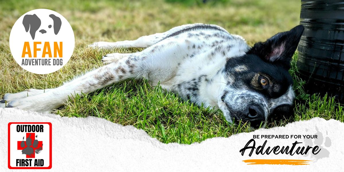 Outdoor Dog First Aid, 11 October | Event in Port Talbot | AllEvents