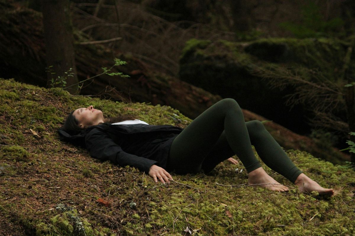 Reset Your Nervous System *Naturally* — Guided Forest Bathing in Whistler, 31 May | Event in Whistler | AllEvents