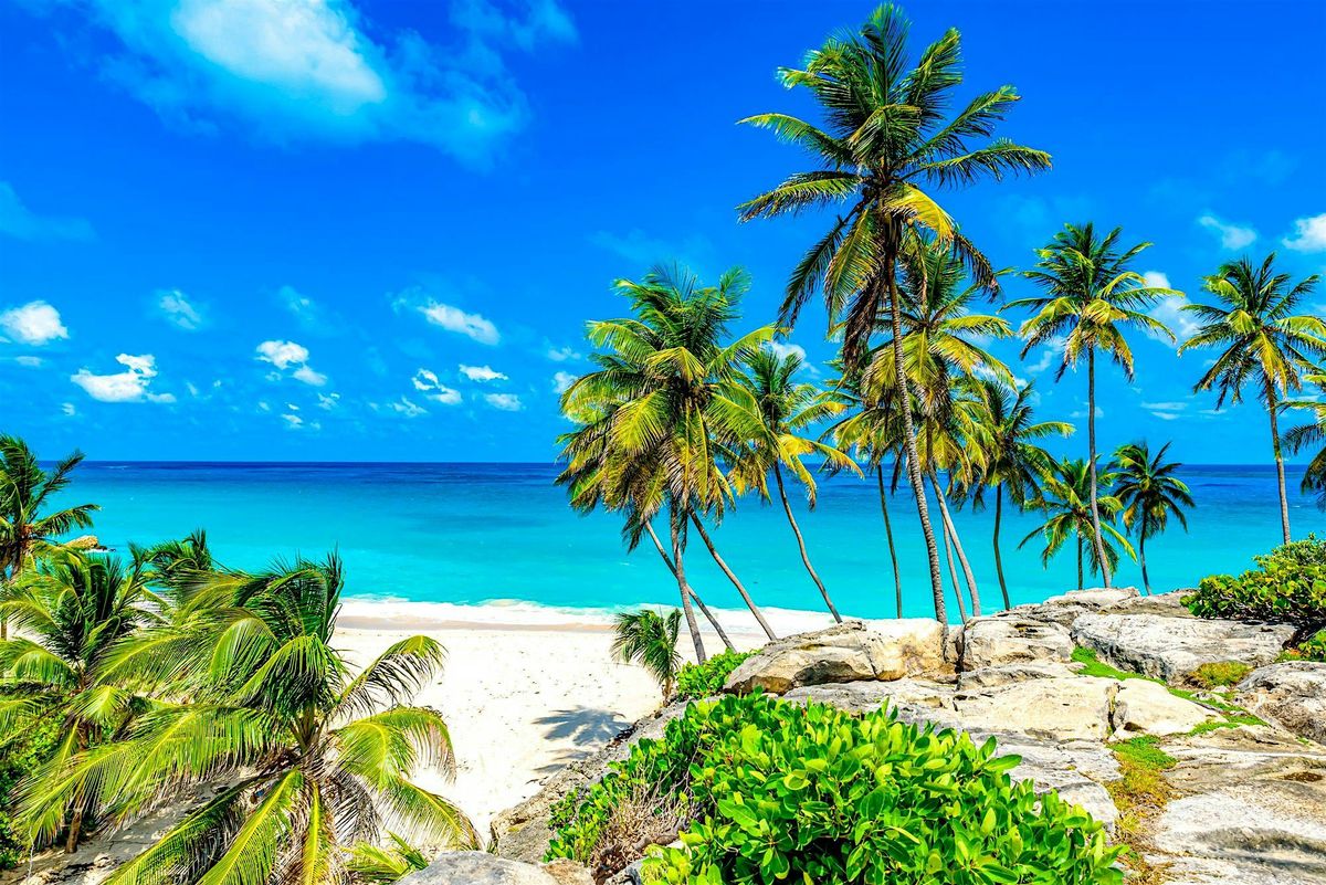 Sun, Sand & Sales Barbados Real Estate Summit ️️⛱️️️✨, 16 October | Event in Bridgetown