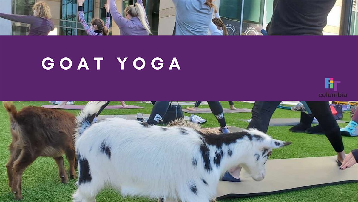 Yoga with Baby Goats, 18 May | Event in Columbia | AllEvents