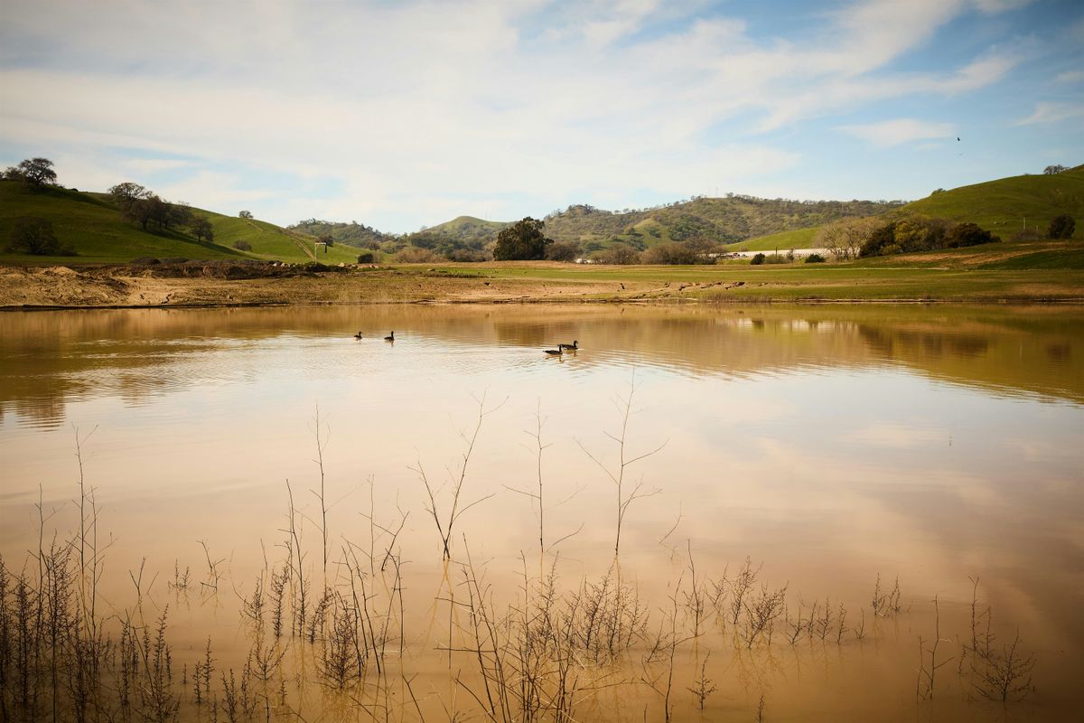 Wildlife Tour with WRA, 31 May | Event in Vacaville | AllEvents