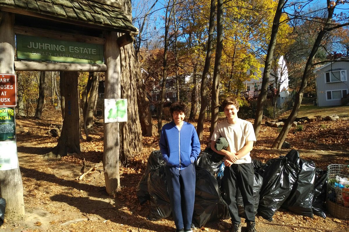 Sunday 6/22 Volunteer Invasive Bush Removal - Dobbs Ferry Juhring Preserve | Event in Dobbs Ferry | AllEvents