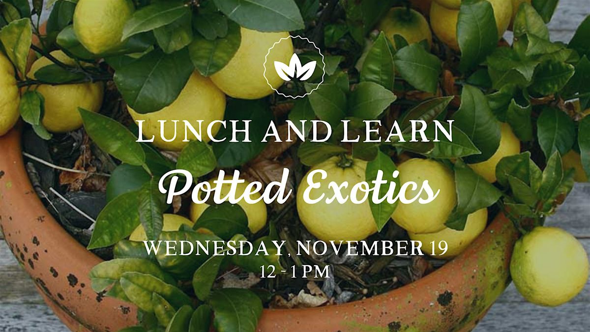 Lunch & Learn: Potted Exotics, 19 November | Event in Dubuque | AllEvents