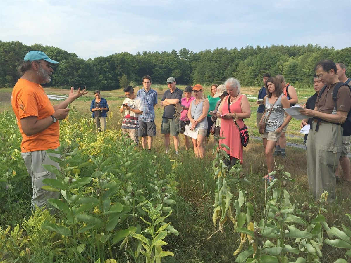 Wild Edibles Walk & Talk with Russ Cohen, 22 July | Event in Peabody | AllEvents
