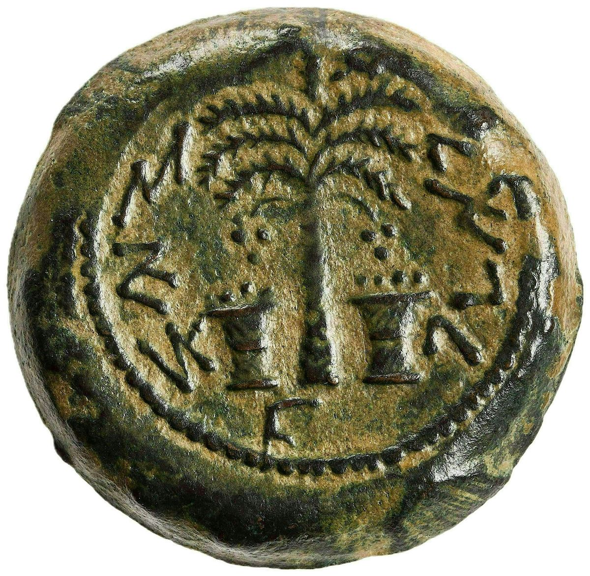 Free hours lecture: From Trees on Coins to Trees on Parade in Ancient Rome, 30 July | Event in New York | AllEvents
