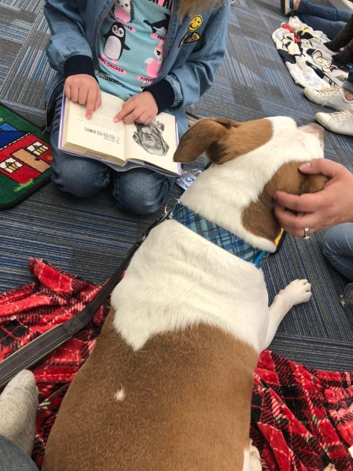 Paws 2 Read, Dunlap Public Library District, May 13 2023 AllEvents.in