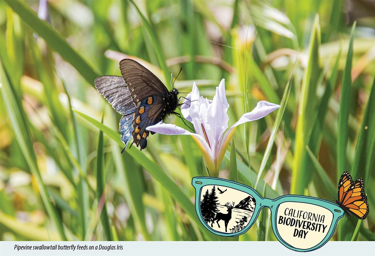 Biodiversity Day at the Leland Stanford Mansion, 13 September | Event in Sacramento | AllEvents