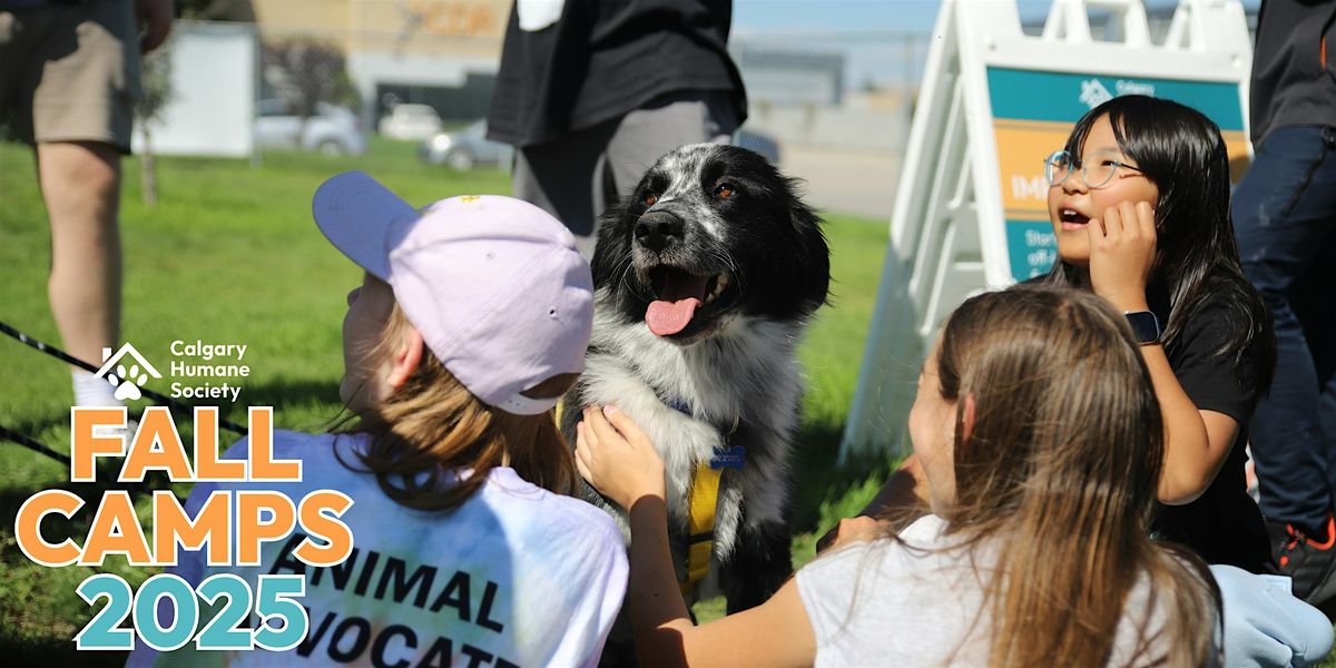 CHS Fall Camps: Fantastic Felines (Grades 4-6) - October 14th - 17th:, 14 October | Event in Calgary | AllEvents