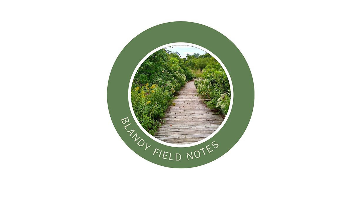 Blandy Field Notes: Flowering Giants of the Wetlands, 14 August | Event in Boyce | AllEvents