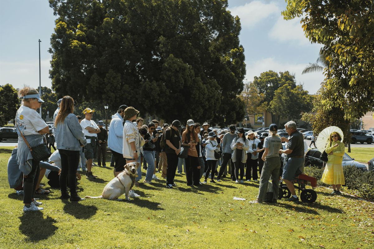 Tree Treks at Grape Day Park, 14 March | Event in Escondido | AllEvents