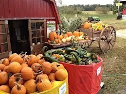 S’more Than Pumpkins, 12 October | Event in Brookeville | AllEvents