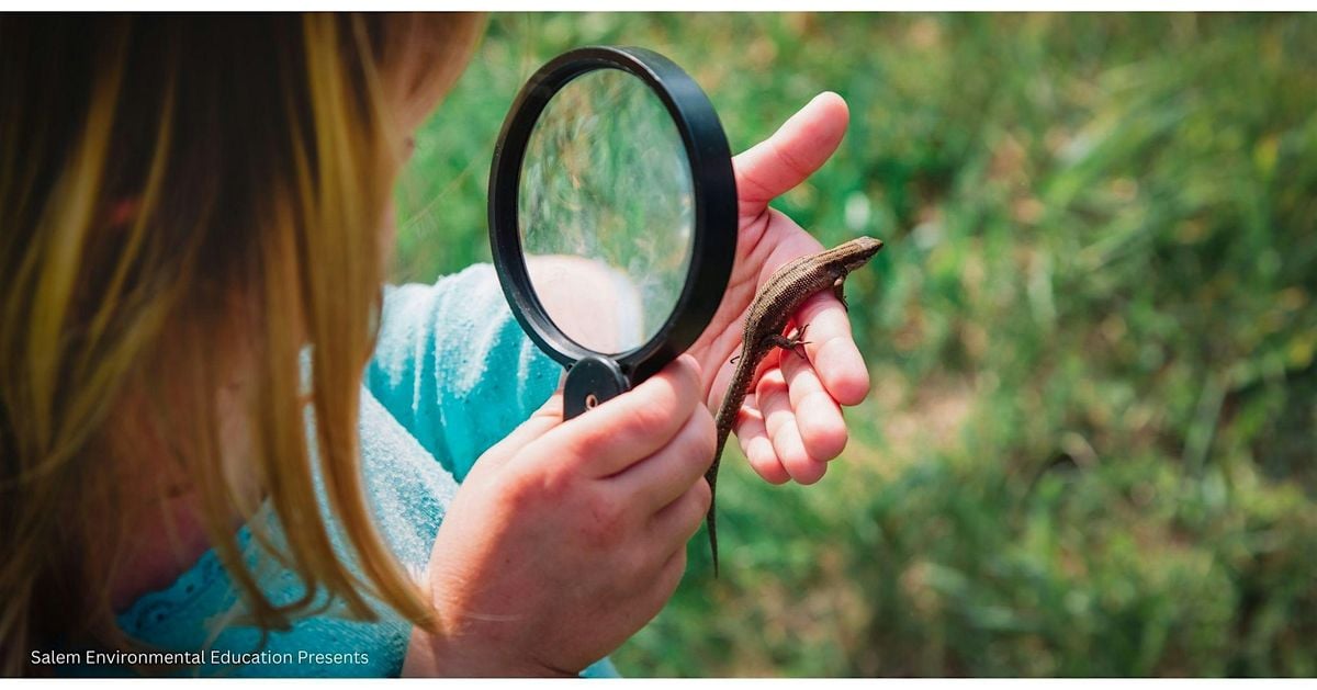 Fall Nature Play for 3 to 5 Year Olds - Wednesdays, Oct.  8, and  Nov. 12, 8 October | Event in Salem | AllEvents