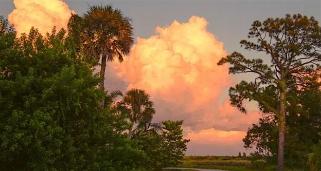 Nine Principles of Florida-Friendly Landscaping @ Lakes Regional Library, 17 January | Event in Fort Myers