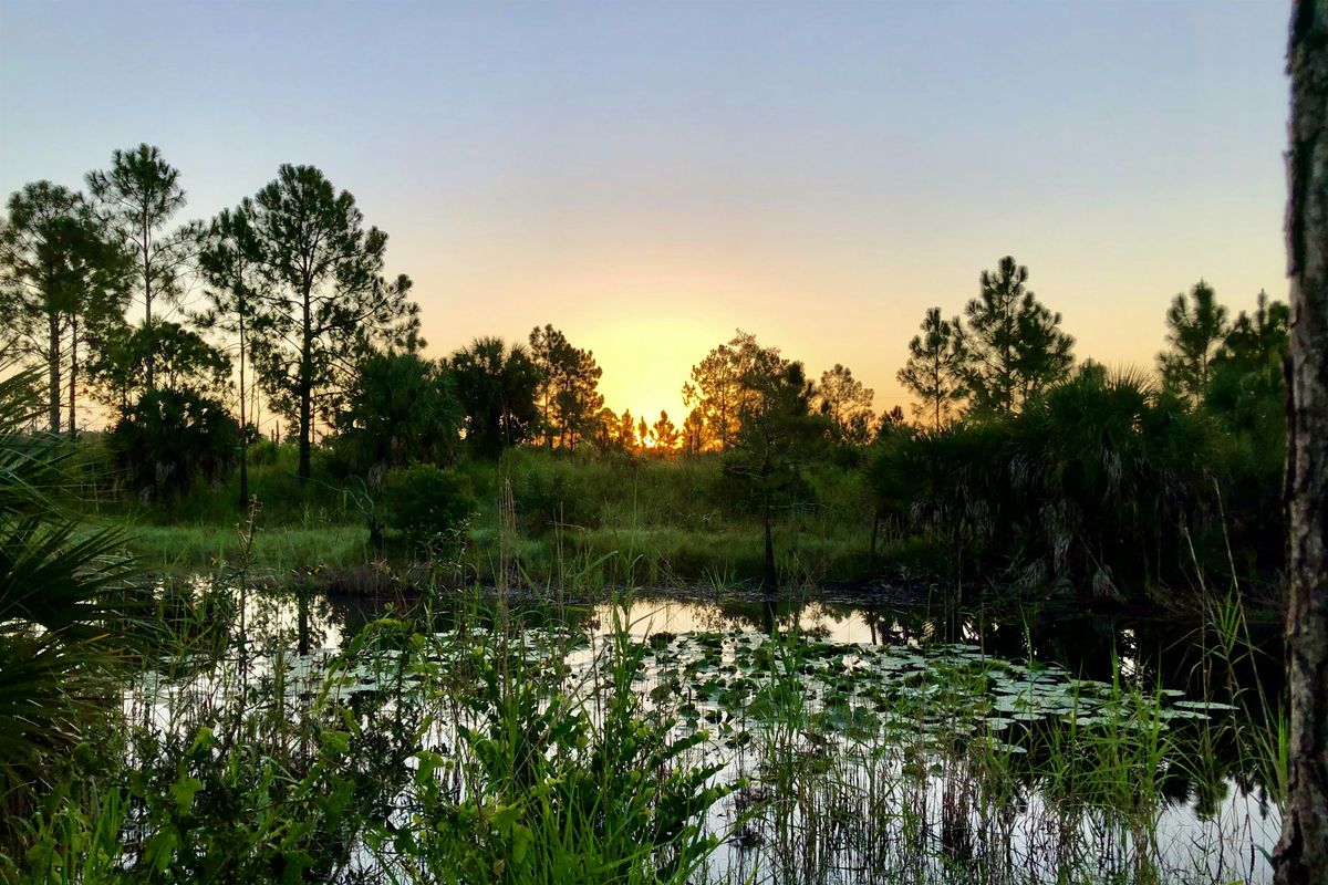 Understanding Mosquitoes in Our Ecosystem, 21 August | Event in Estero | AllEvents