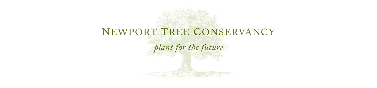 Newport Marathon: Volunteers for Newport Tree Conservancy, 10 October | Event in Newport | AllEvents