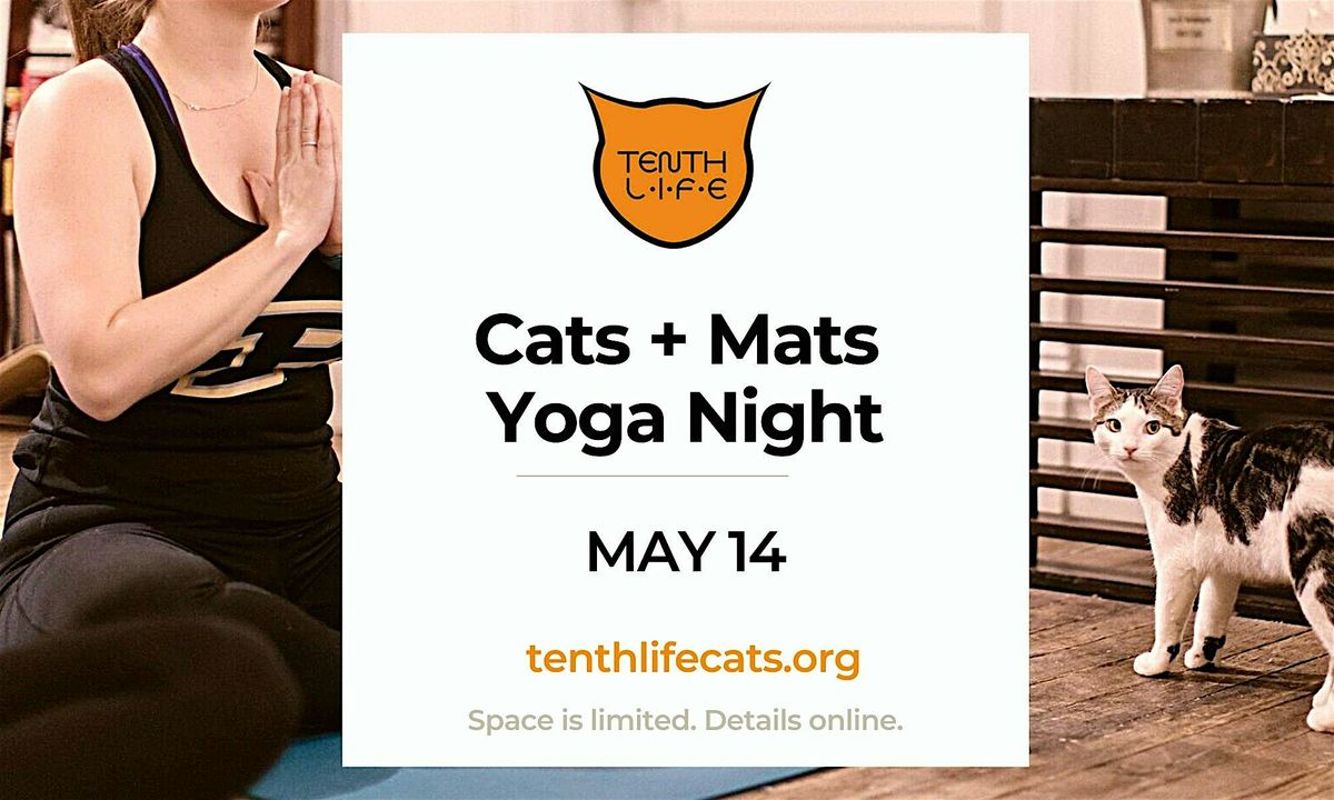 Cats N' Mats Yoga Night - May 2025, 14 May | Event in St. Louis | AllEvents