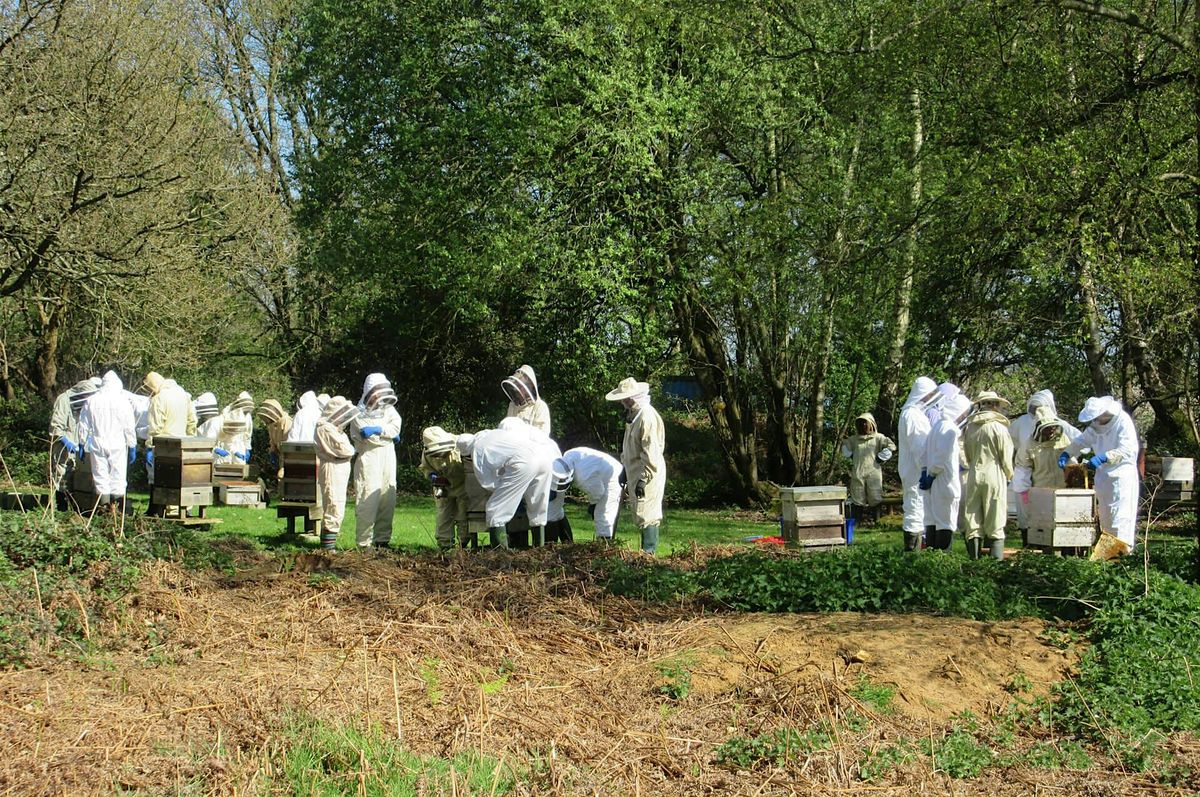 PDBKA Beginner Beekeepers Training - Theory and Practical Sessions 2026, 15 February | Event in Petersfield