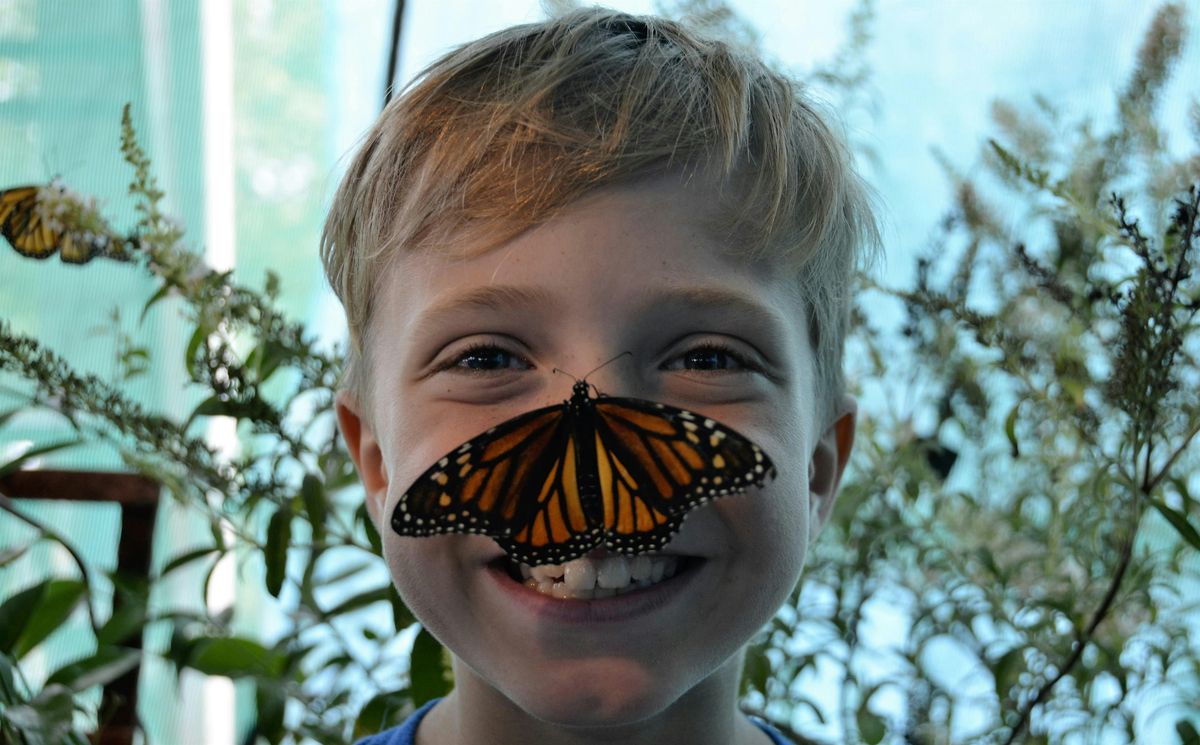 2025 Kiwanis Butterfly Festival in Keller (Previously Southlake), 20 September | Event in Keller | AllEvents