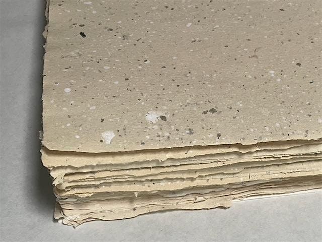 Plants to Paper: Paper Making with Natural Fibers - Nov 22 & 23 , 2025, 22 November | Event in Carson