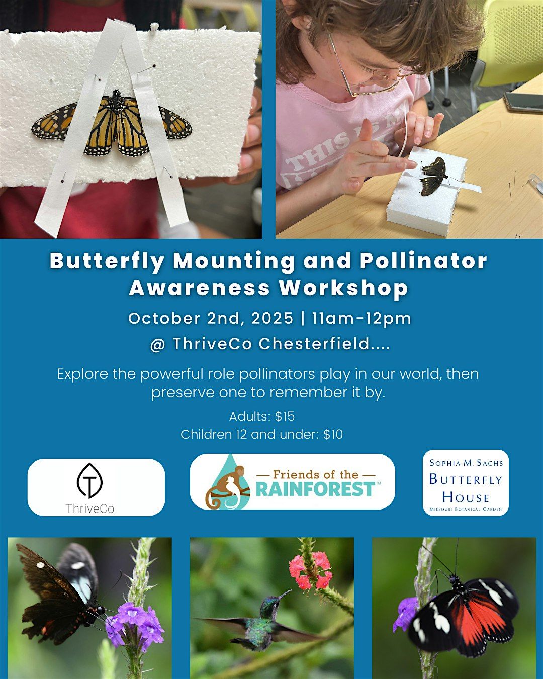 Butterfly Mounting and Pollinator Awareness Workshop, 2 October | Event in Chesterfield | AllEvents