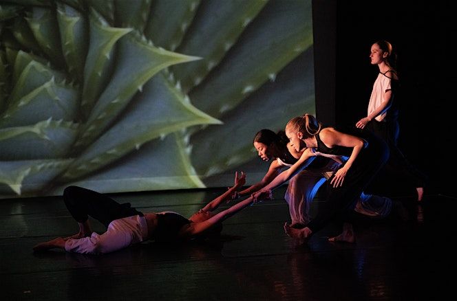 DanceAction Summer Workshop: Contemporary Pathways & Architecture, 4 August | Event in New York | AllEvents