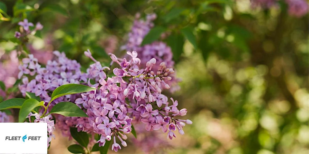 WMWN Flower City Flora Walking Tour at the Rochester Lilac Festival | Event in Rochester | AllEvents