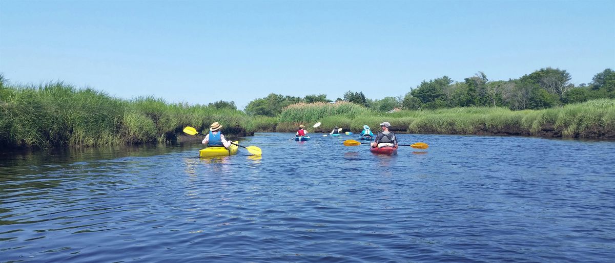 Marsh Habitat Exploration - Guided South River Paddle, 15 August | Event in Marshfield | AllEvents