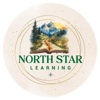 North Star Learning LLC logo