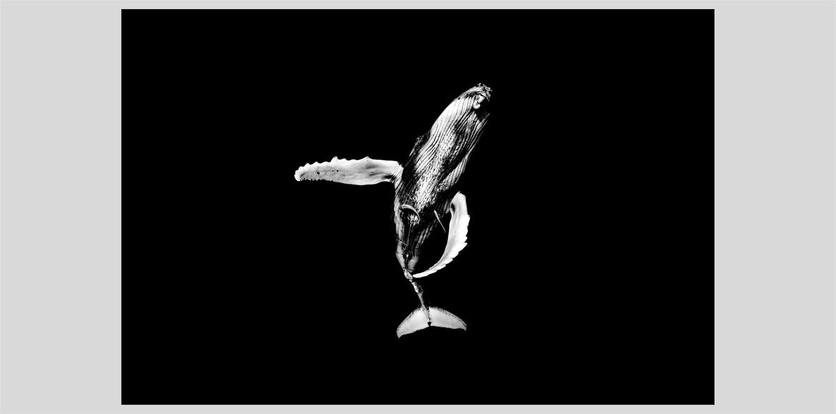 Matt Draper: Within One Breath - Artist Walk-Through & Champagne Toast, 8 January | Event in New York