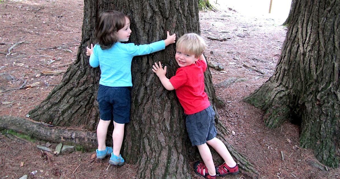 Fledgling Naturalists: A Sense of Fall 1, 25 September | Event in Sussex | AllEvents