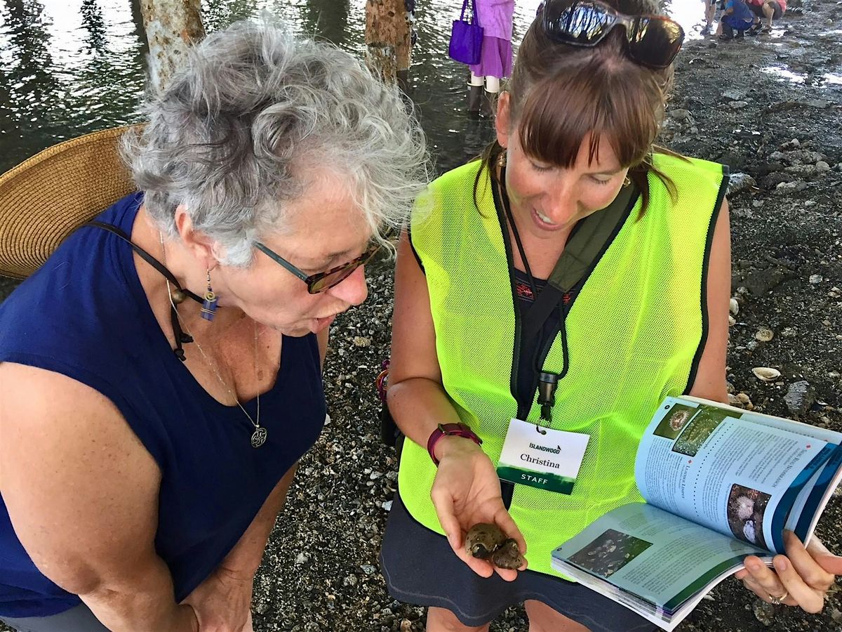 Low Tide Beach Exploration, 28 June | Event in Bainbridge Island | AllEvents