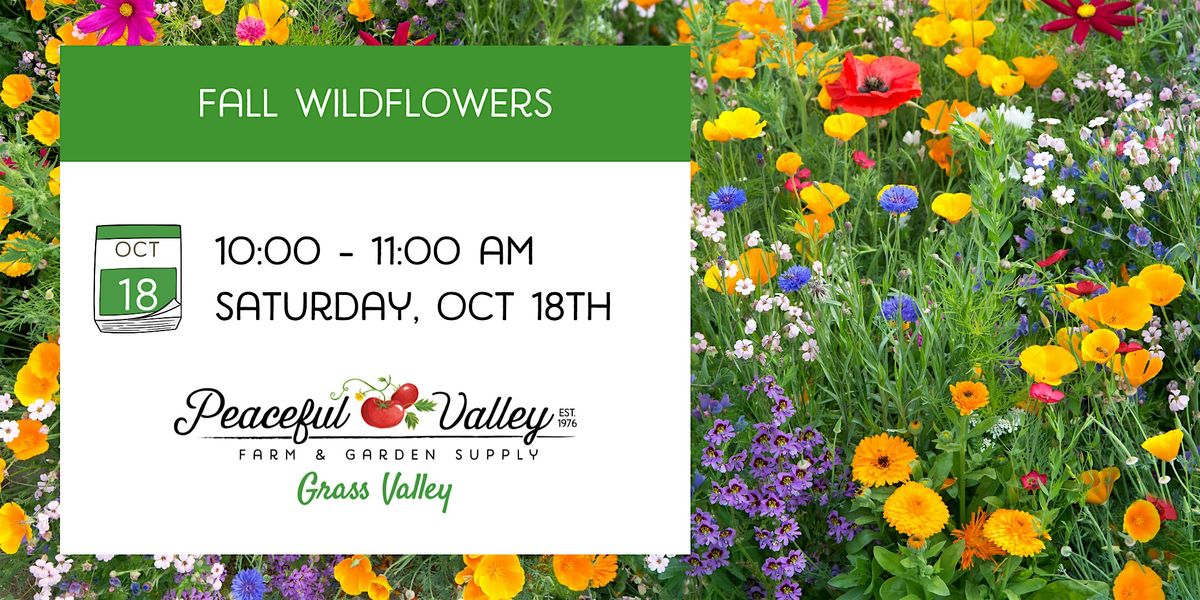 Fall Wildflowers, 18 October | Event in Grass Valley | AllEvents