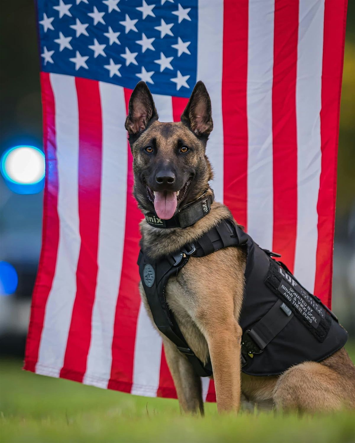 Second Annual Irondog K9 International Golf Outing, 5 June | Event in Indianapolis | AllEvents