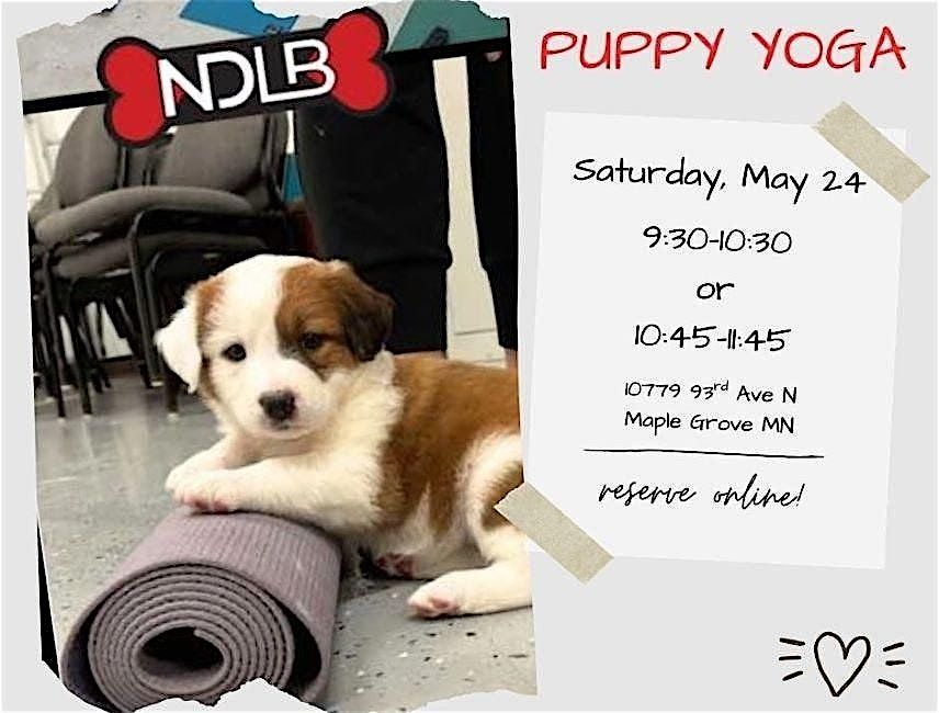 Puppy Yoga with No Dog Left Behind (Session 2), 24 May | Event in Maple Grove | AllEvents