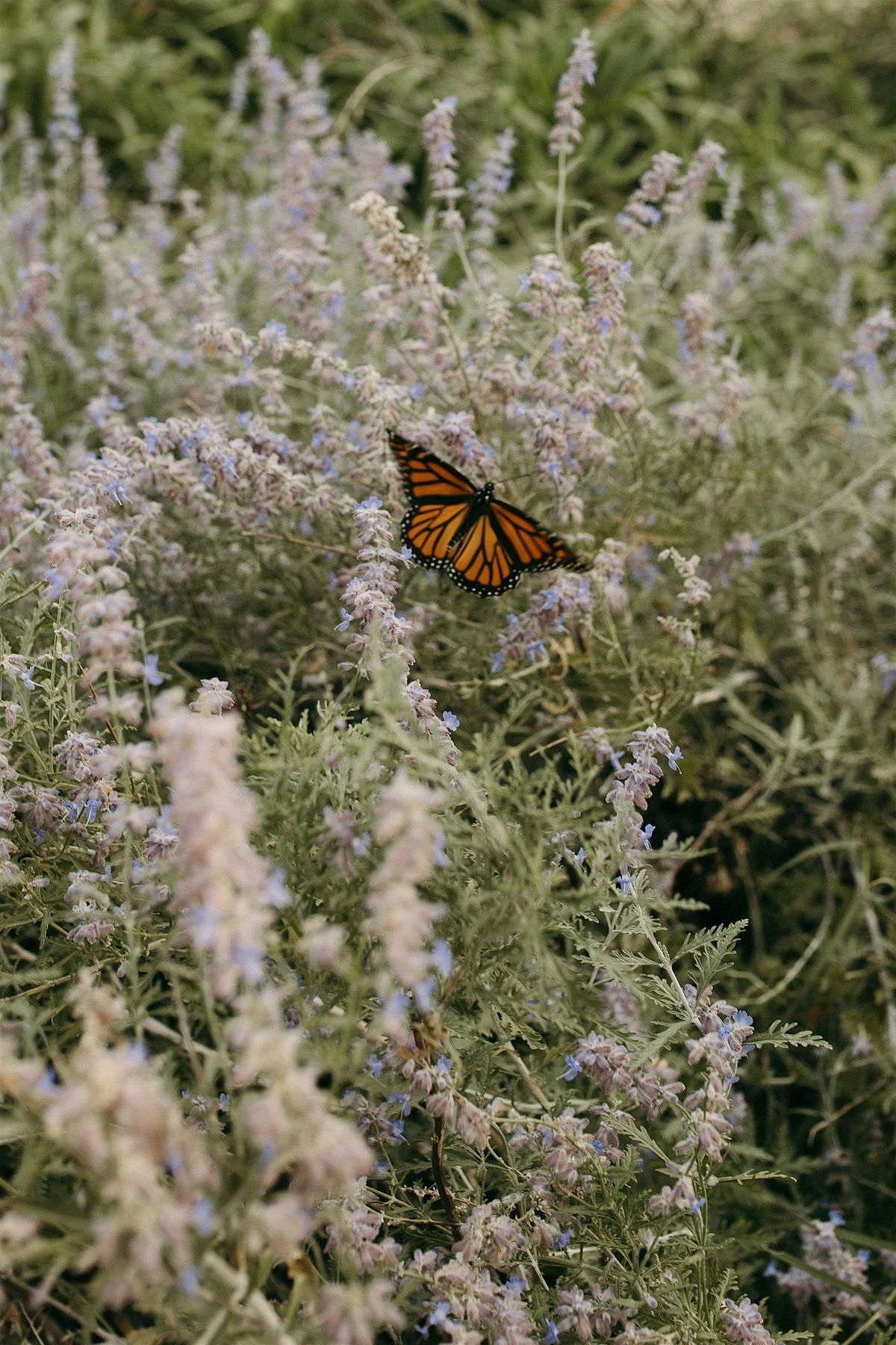 DGs Annual Vendor Event 2025, 1007 W Douglas Ave, Wichita, 30 March ...