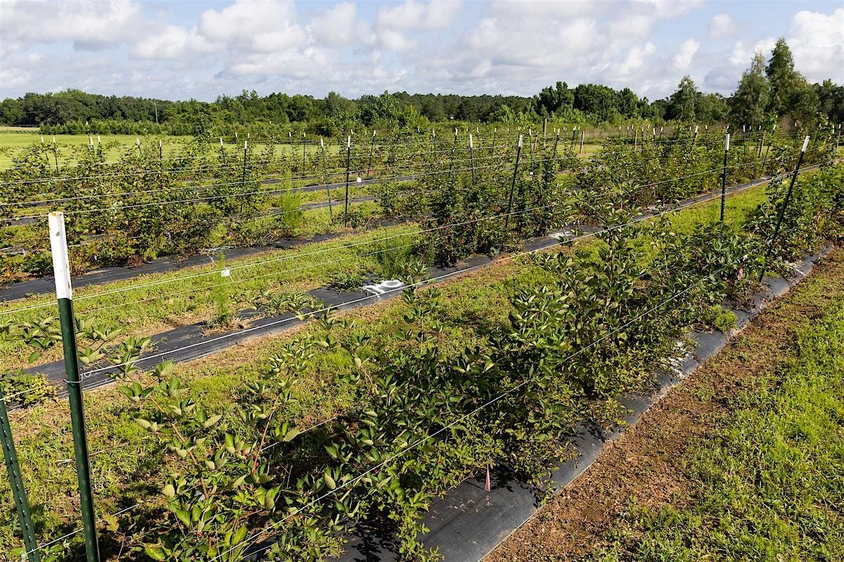 AG Row Crop/  Core Pesticide Prep Training, 3 October | Event in Naples | AllEvents