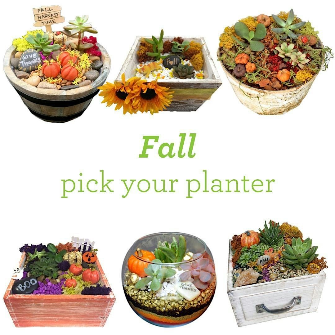 Plant Nite: Make a Succulent Terrarium, 15 October | Event in Pittsburgh | AllEvents