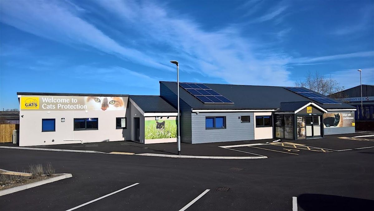 Cats Protection Tyneside Summer Open Day, 9 August | Event in Felling | AllEvents
