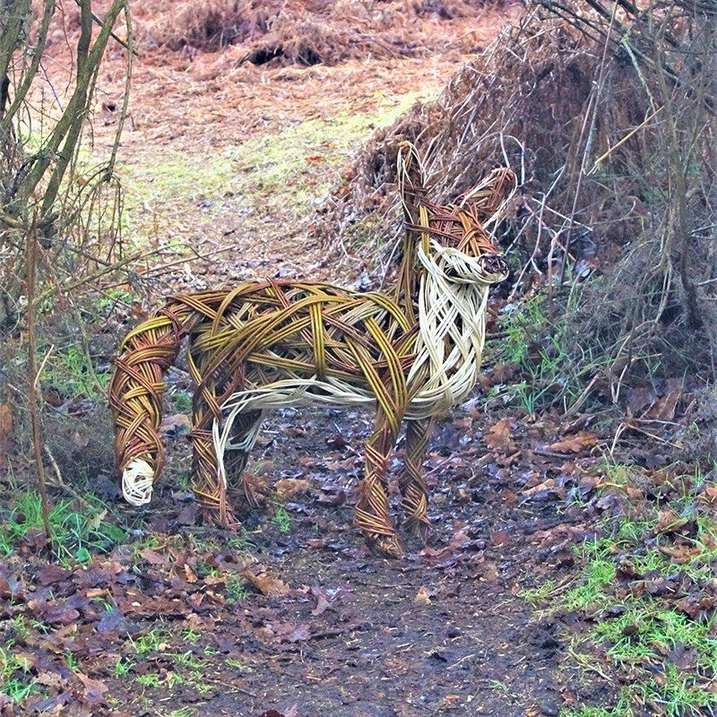 Willow Fox with Twigs & Sprigs, Waters' Edge Visitor Centre & Country