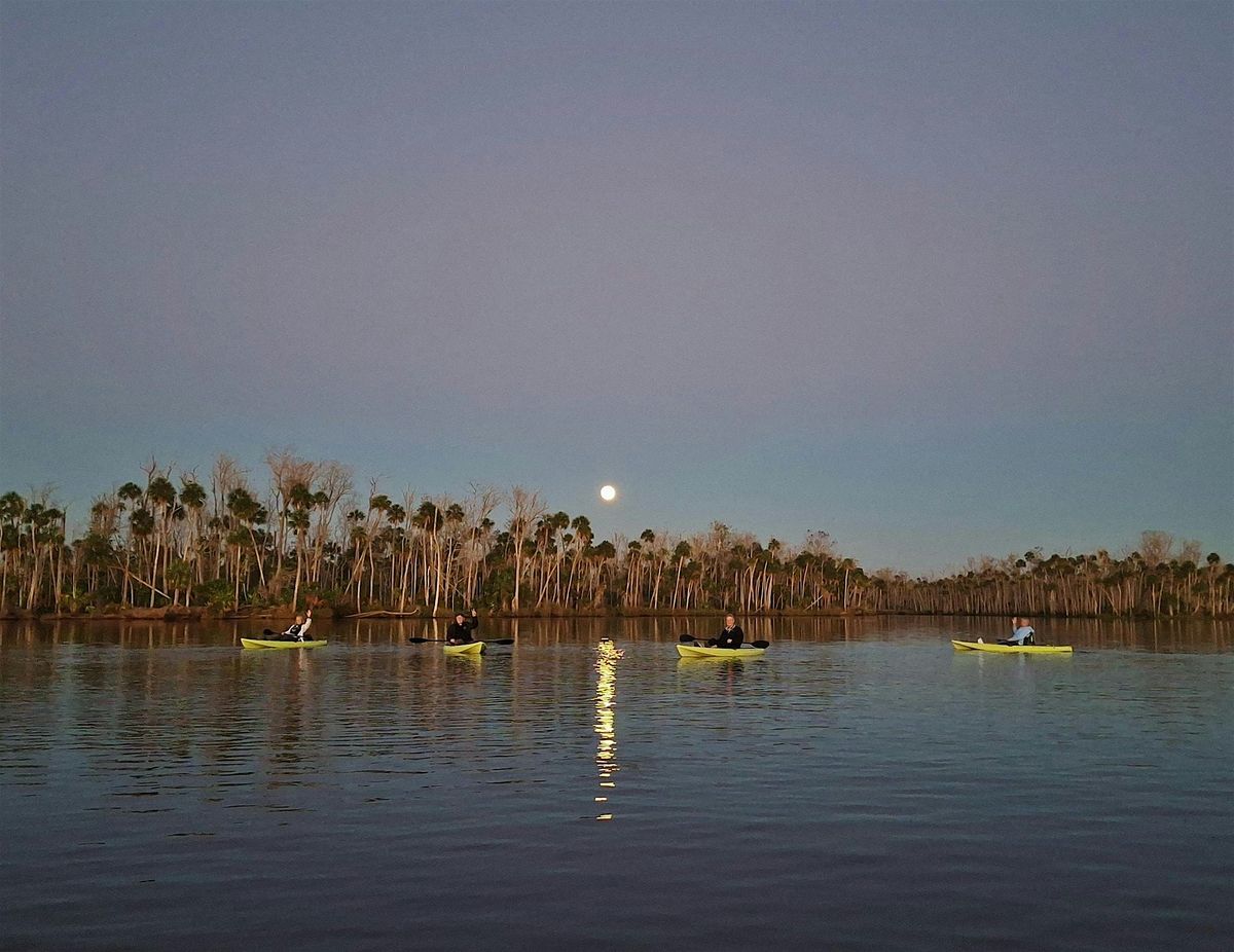 Super Full Moon Kayaking Tour, 3 December | Event in Homosassa | AllEvents